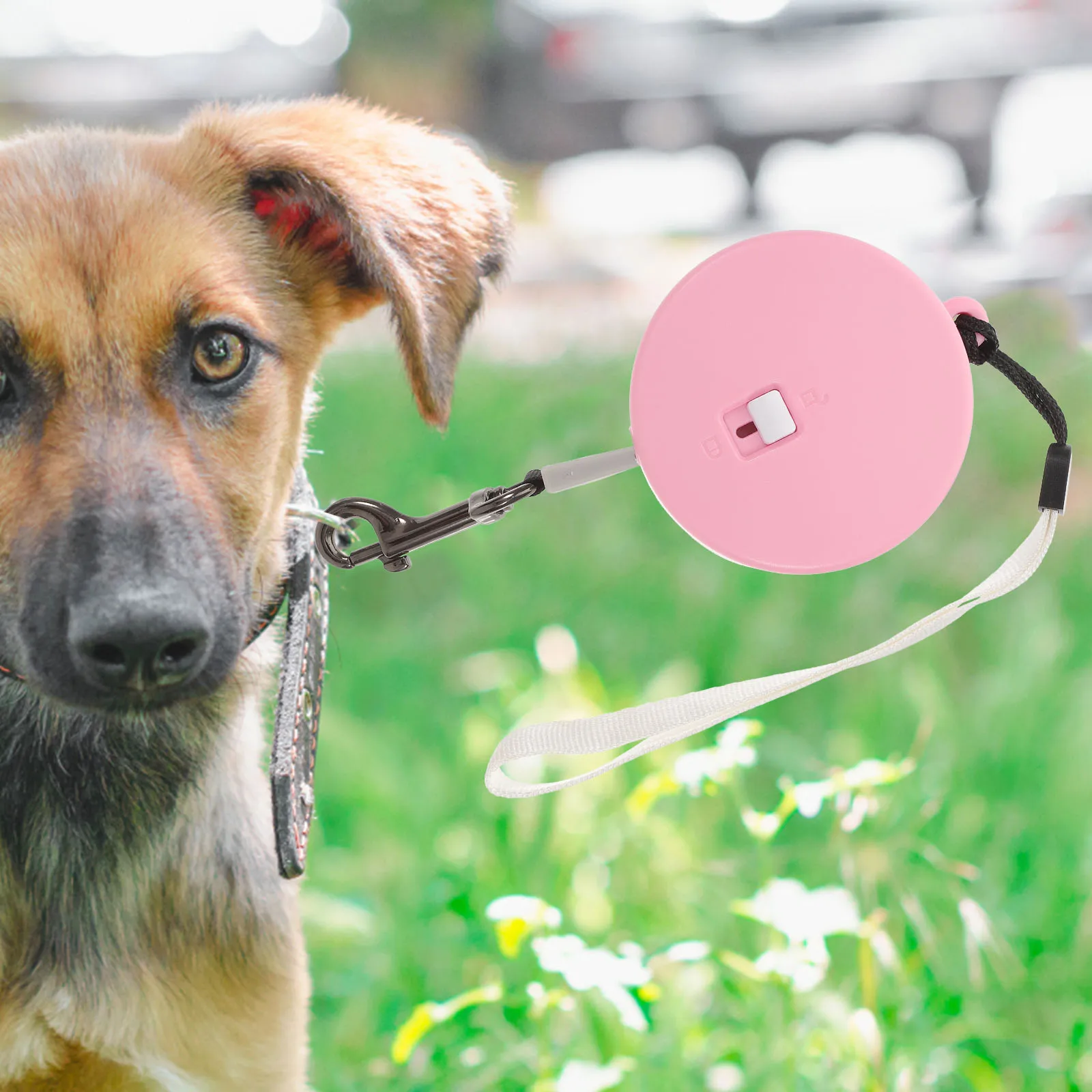 

Adjustable Retractable Dog Leash For Small Medium Dogs Durable Wear-Resistant Rope Lanyard Design High Hardness Hook Outdoor