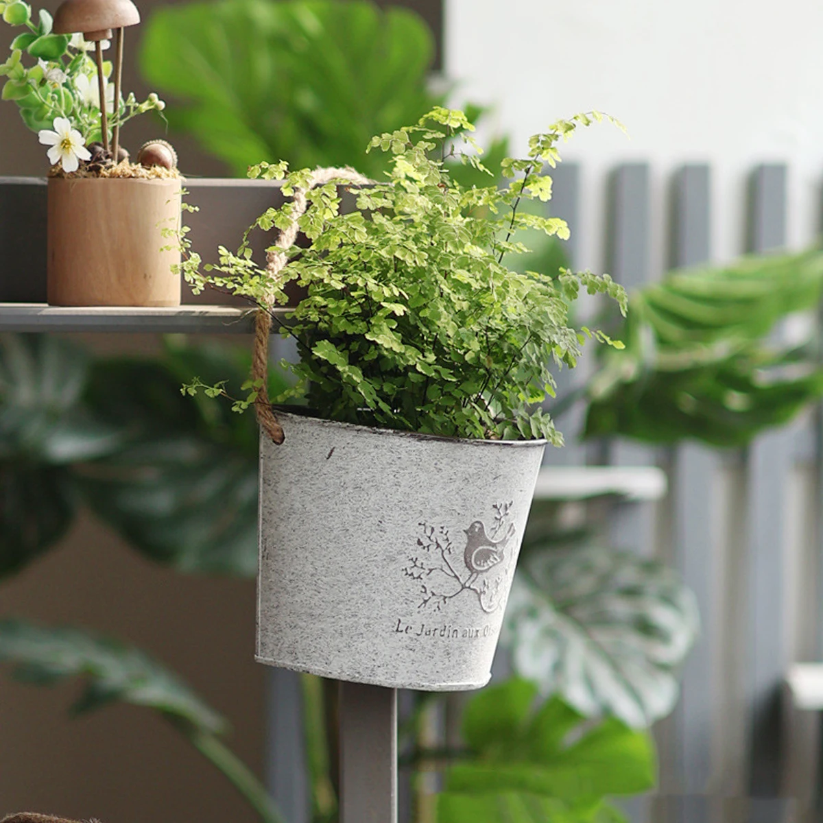 กระถางดอกไม้โลหะลายวินเทจรูปนก - Vertical Wall Planter บทวิจารณ์และราคา