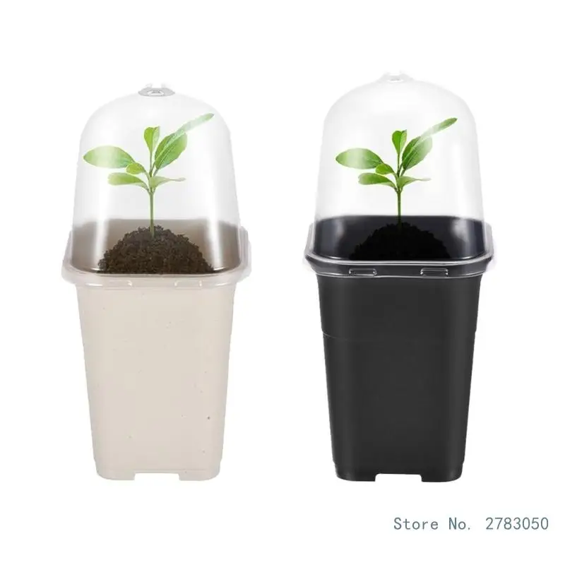 Square Nursery Pots Transplanting Pots Container Seed Starting Pots for Succulents Cutting Vegetable Transplanting