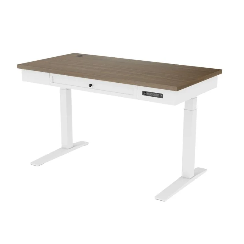 Electric Standing Desk,One-Piece Standing Desk,Seamless Desktop Electric Height Adjustable for Home Office, Study Rooms & Multi-Device Workstations,Wooden table top,White Frame