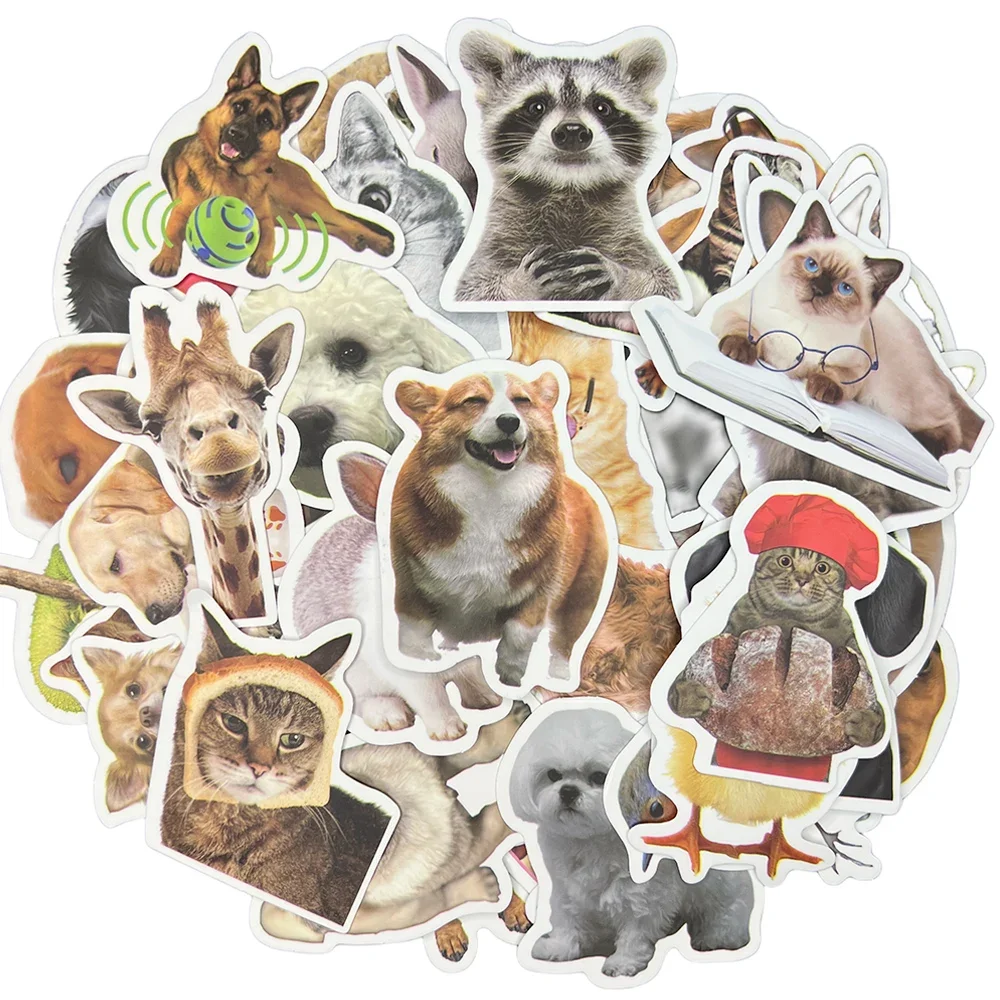 Impermeável engraçado Animal Graffiti Etiqueta, Estética, Decorativa, Bagagem, Laptop, Copa, Telefone, Diário, Scrapbook, Crianças Adesivos, 10 Pcs, 30 Pcs, 50Pcs