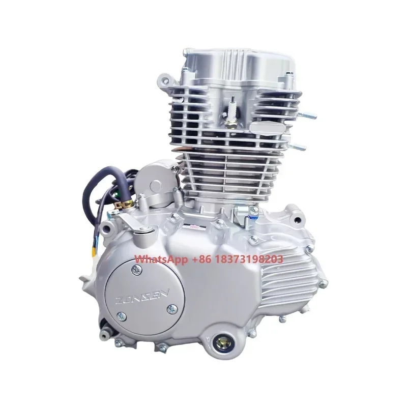 ZS167FML-3 Zongshen Engine Cg200d-B 200cc Motorcycle Engine With Balance Shaft Air Clooled Complete Motorcycle Engine