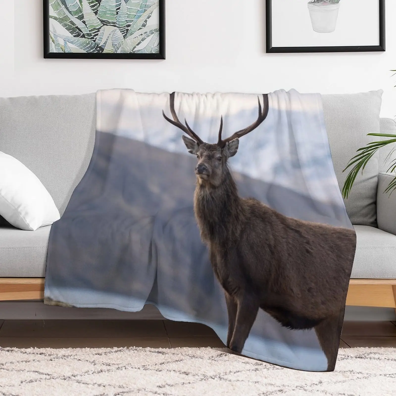 Red Deer Stag in Highland Scotland Throw Blanket blankets and throws Tourist Comforter Blankets