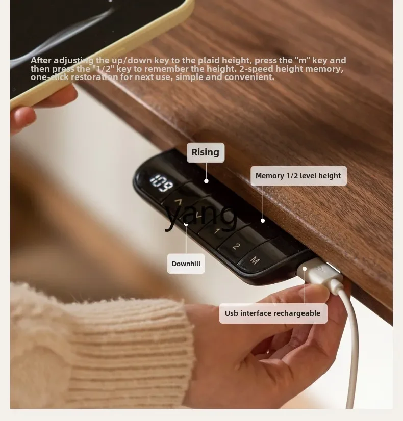 LH  Intelligent Electric Lifting Desk Home Desk Computer Desk Standing Workbench