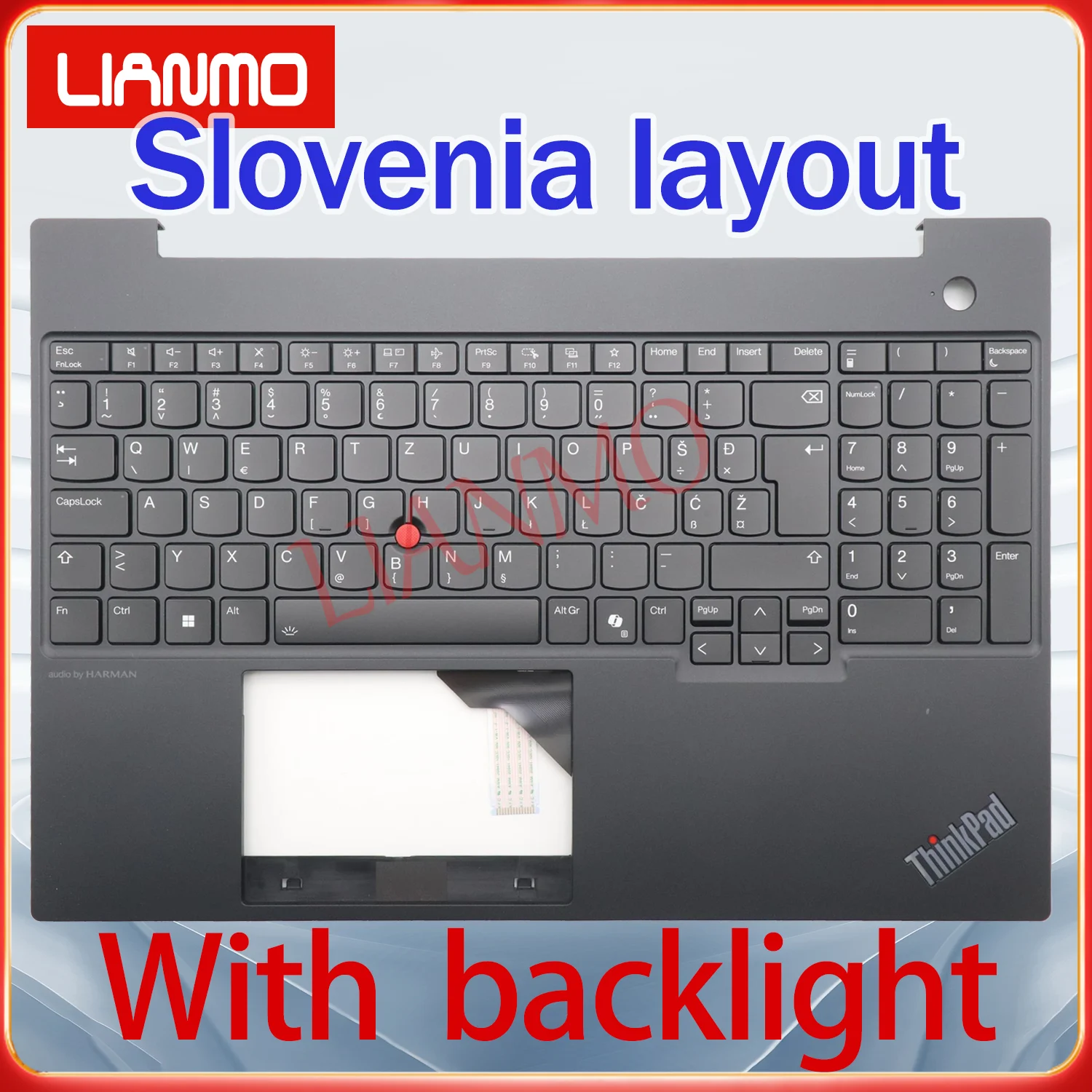 Swedish/Slovenia/Thai/Turkish/UK/US Layout for Lenovo ThinkPad E16 GEN2 C-Shell Backlight Keyboard