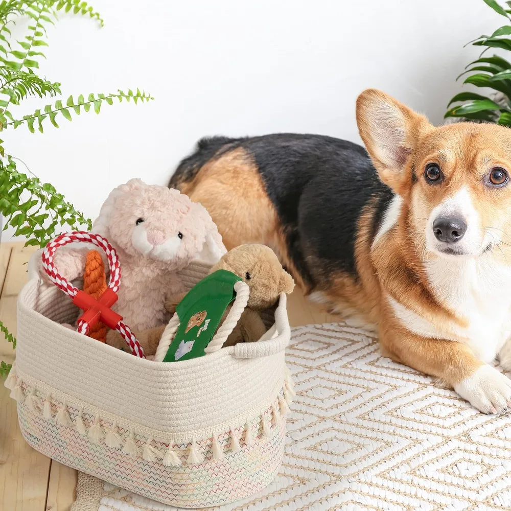 3-Pack Woven Cotton Rope Storage Baskets 2