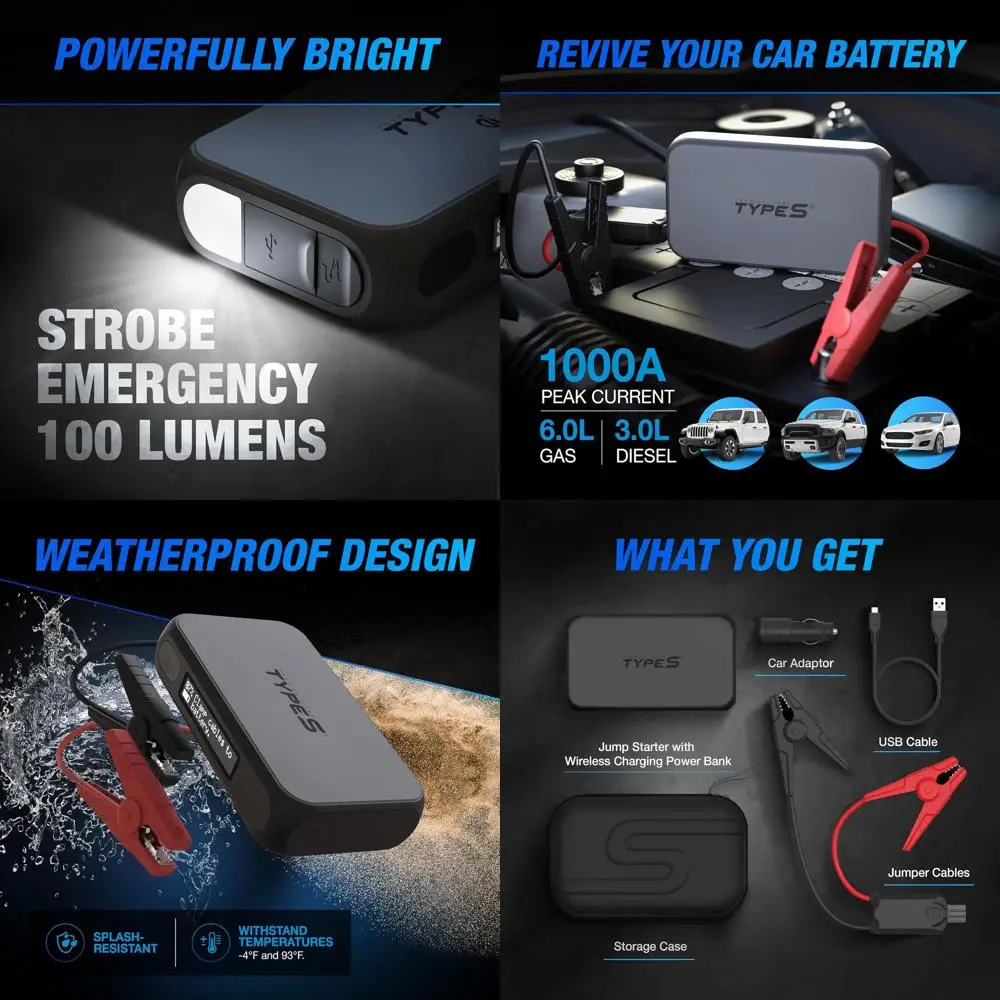 Type S Dynamic D10 …