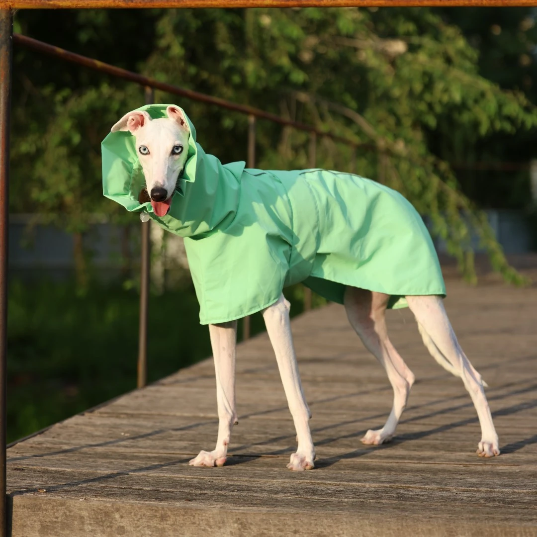 Einfarbiger Regenmantel für Italienische Windhunde und Whippets im Frühling und Sommer, Leichte, Taillenverstellbare, Winddichte Jacke für Hunde – Detail 4