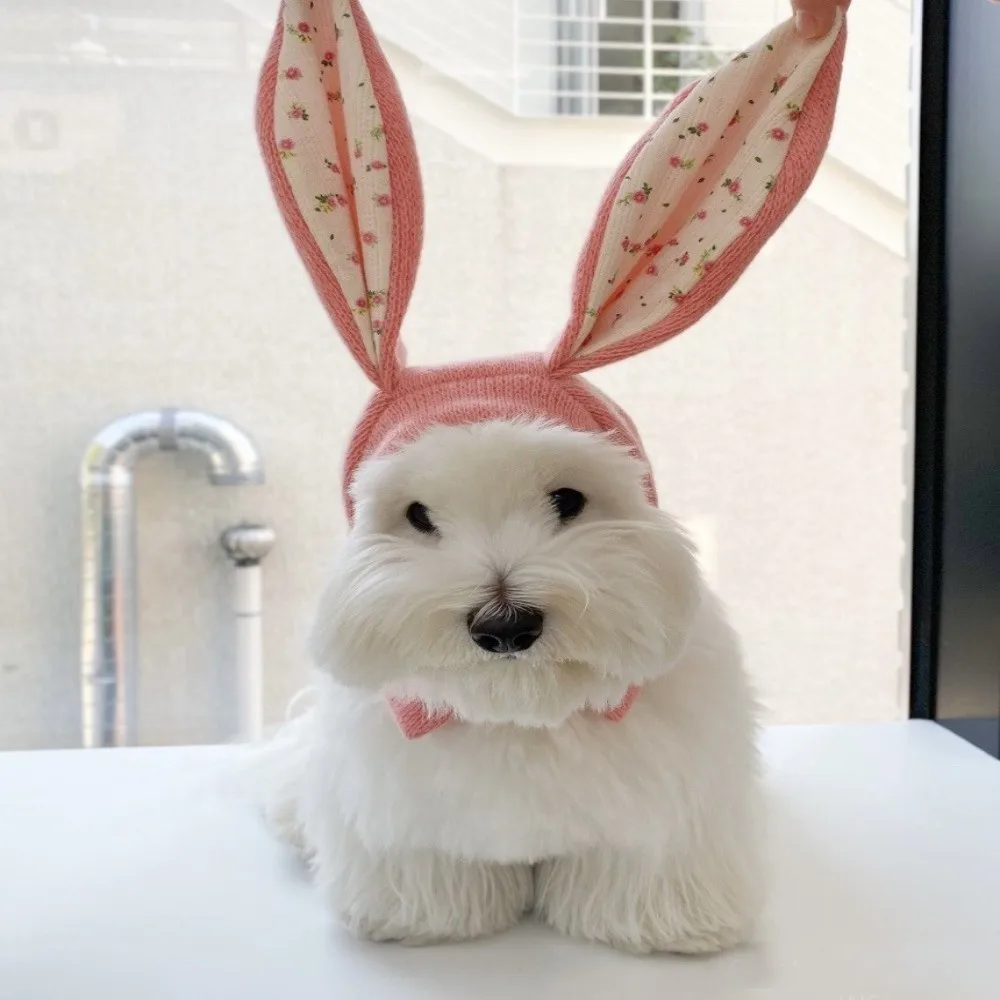 

Cute Rabbit Ears Pet Hat Soft Elastic Floral Pattern Dog Windproof Cover Comfortable Warm Pet Dog Costume Autumn Winter