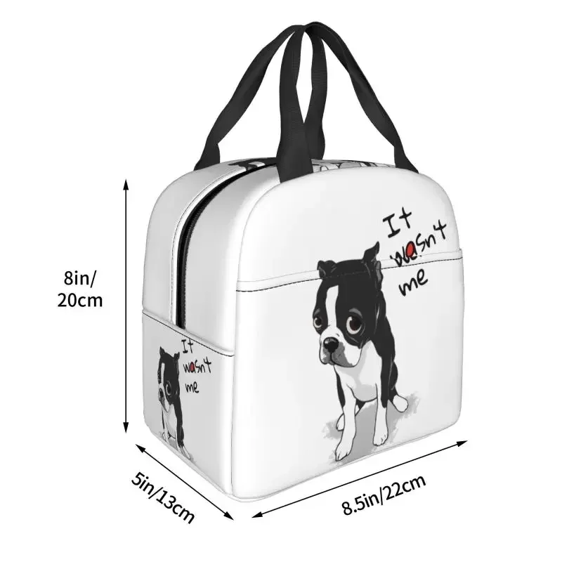 Bolsa de almuerzo aislada Boston Terrier It was't Me para la escuela, oficina, patrón de perro, fiambrera térmica, enfriador impermeable, mujeres y niños