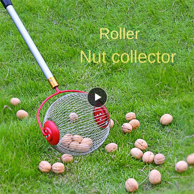 Stainless Steel Chestnut Pickup Adjustable Ball Collector Fruit Collector New Nut Collector Fruit Picker Tools Walnut Pickup