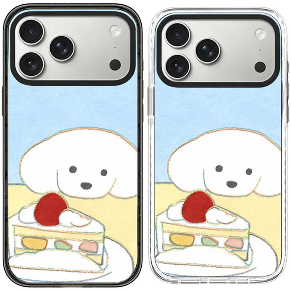 6090524 Acrylic Magnetic Case: Compatible with IPhone 18 17 16 15 14 13 12 Pro Max 17 Air