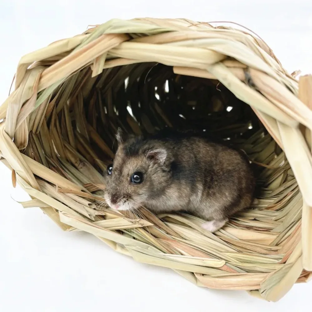 Hamster Avoiding Grass Nest, Grass House Grinding Teeth, Hand Woven Small Pet Grass Nest, Hamster Nest, Parrot Bird Toy