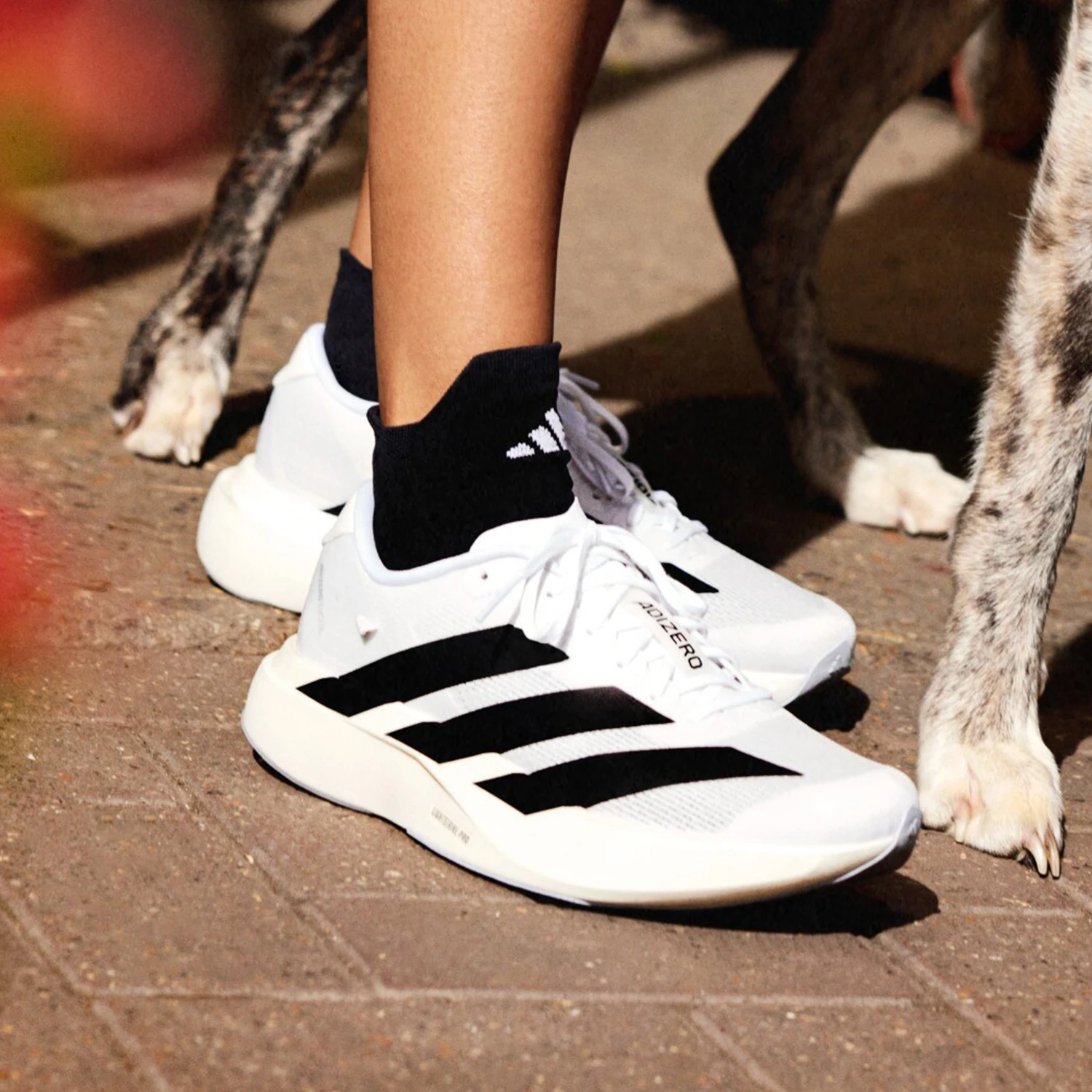 

Adidas оригинальные новые стильные женские эластичные тренировочные устойчивые к истиранию кроссовки JH6208