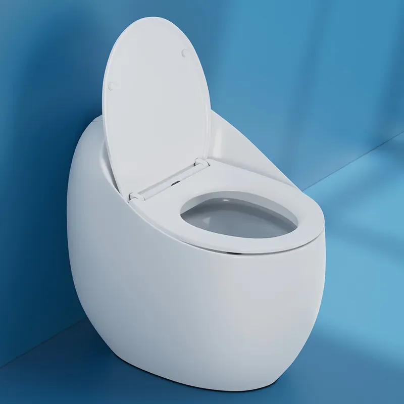 Modern One Piece Toilet Round Egg Shape Water Saving Siphon Flush Household Bathroom Universal Simple Design