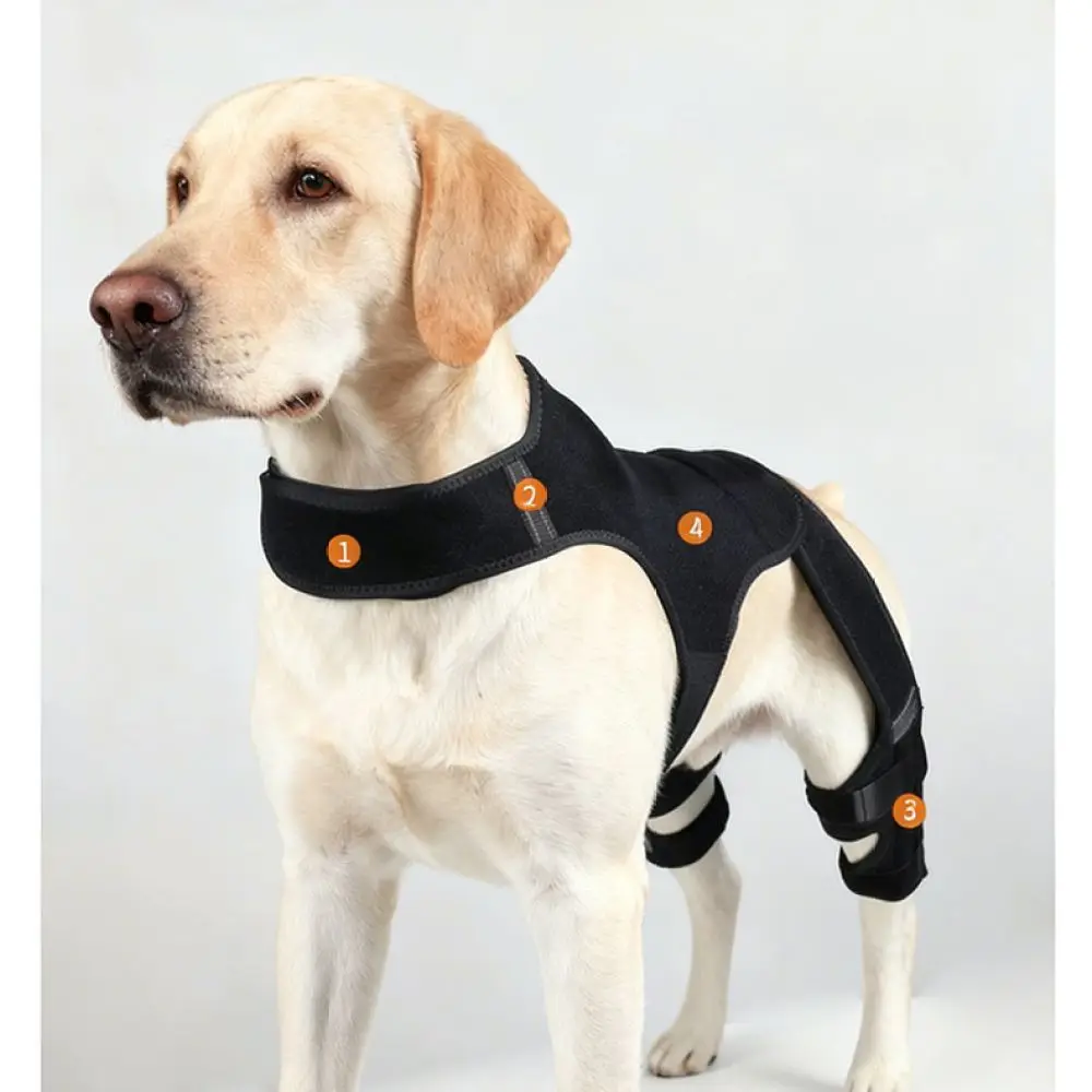 Adjustable Dog Knee Brace Pet Joint Compression Protector Wrap Stability Gear For Recovery Injury Support Anti Lick Aid