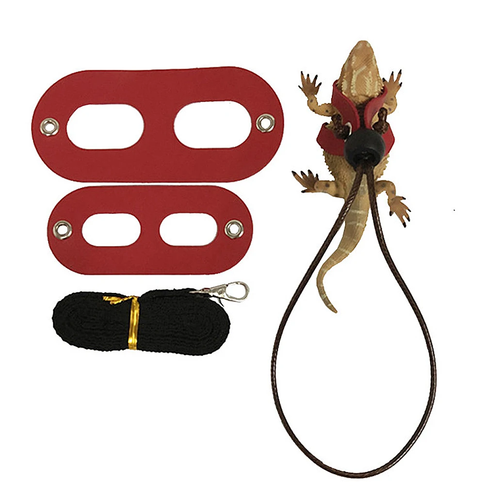 

2 Set Reptile Terrariums Lizard Leash Pet Hauling Cable Chest Without Wing Animal Harness Accessories