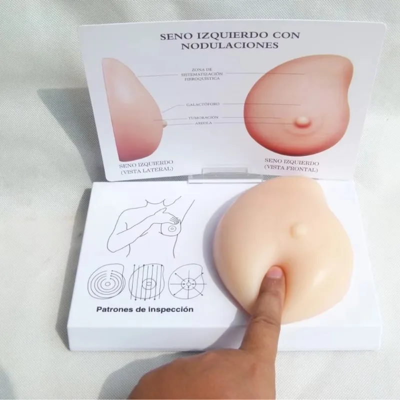 

Патологическая модель груди: твердое уплотнение, мягкий силиконовый материал, для офисов по планированию семьи, медицинская учебная модель