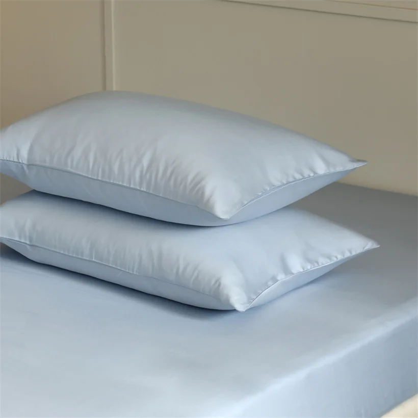 100% Mulberry Silk Pillow Case 2pcs Natural Real Silk Protect Hair Skin Pillowcase Customized Size Bedding Pillow Cases Cover