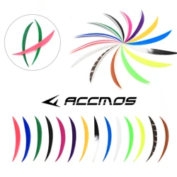 50pcs 5 inch Ultra Narrow Banana Fletching Arrow Feathers Vanes Real Natural feather Turkey Feather Archery Accessories