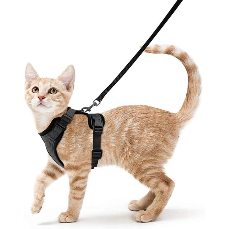 Soft Mesh Small Cat Harness and Leash Set Adjustable Vest Escape Proof for Pet Kitten Easy Control Reflective Puppy Dogs