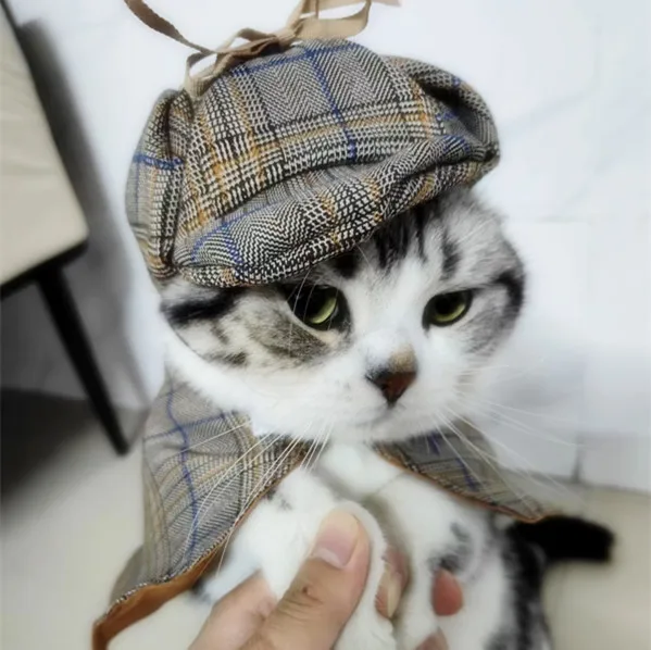 Disfraz de Sherlock Holmes para mascotas – Conjunto de capa y gorro de detectives para gatos y perros, diversión sin mangas para disfraces de Halloween