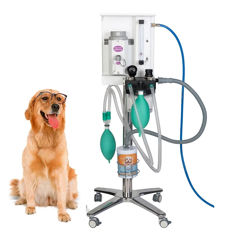 Veterinary Anesthesia Equipment Portable Small Animal Anaesthesia Canine Isoflurane Veterinary Anesthesia Machine For Dogs