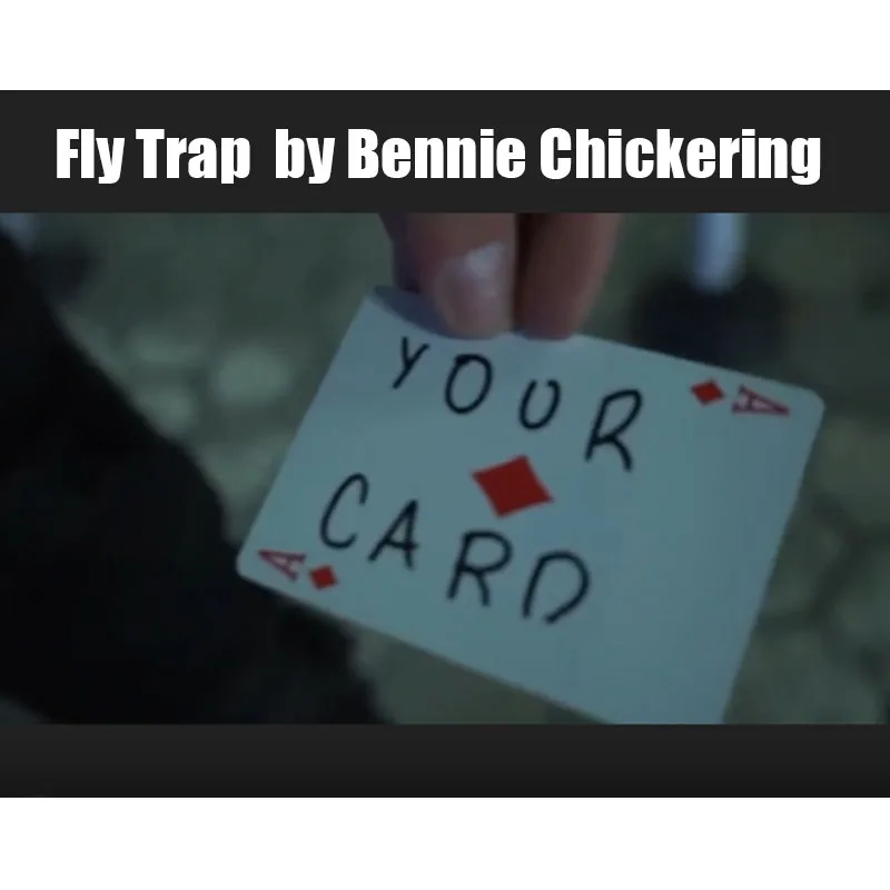 Fly Trap By Bennie …