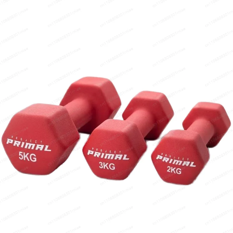 Iron fitness dumbbells, color lightweight non-slip gym workout free weight lifter for hands, shoulders, arms