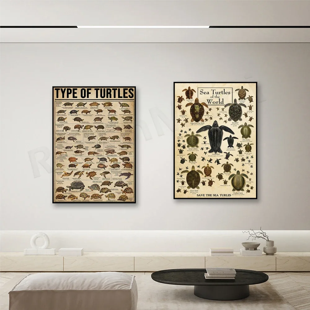 Affiches vintage Turtle World - Impressions artistiques sur les types de tortues, cadeaux idéaux pour les amateurs de tortues
