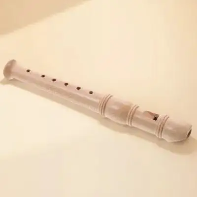 Soprano Recorder for Beginners – 6-Hole Educational Musical Instrument, Lightweight & Easy to Play