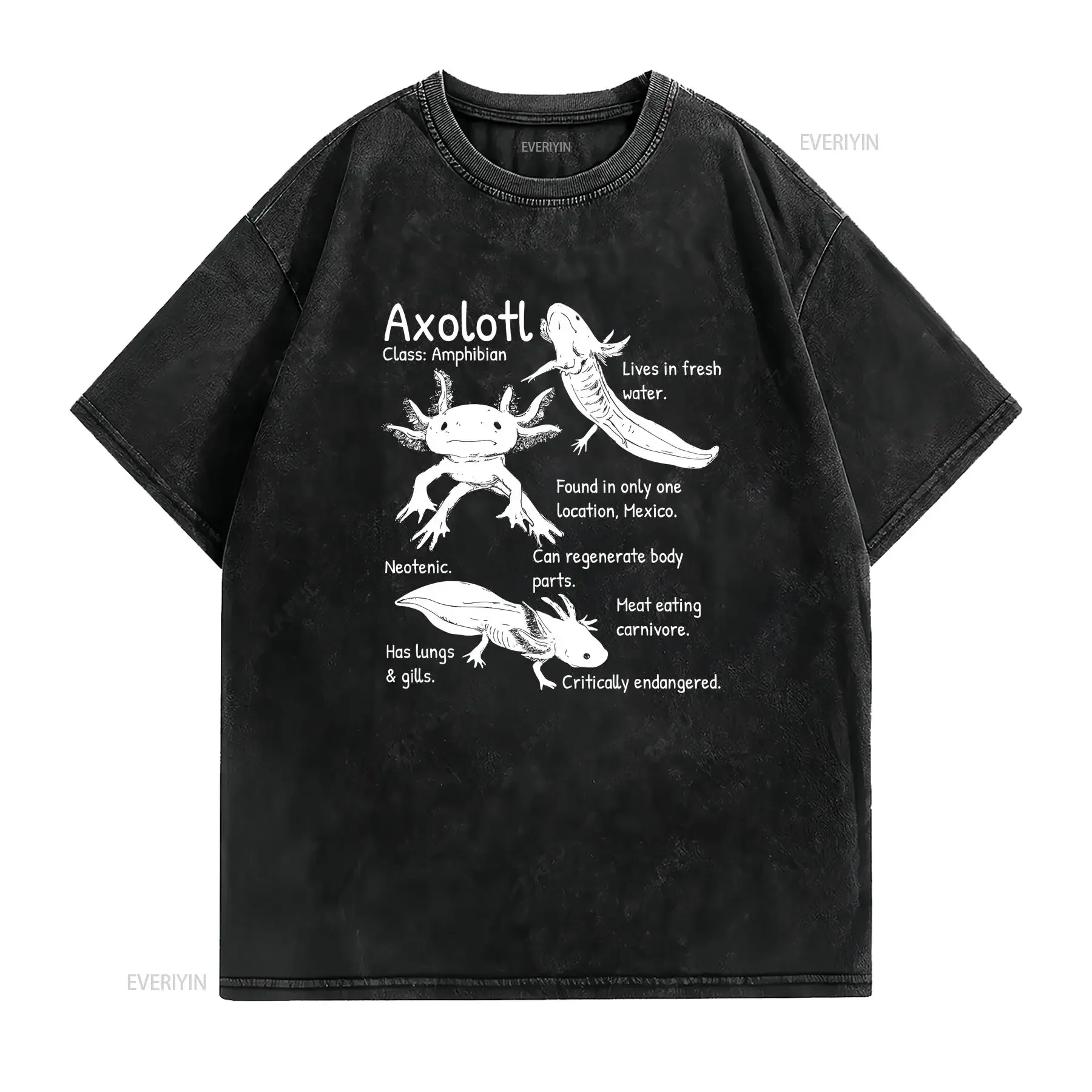 Axolotl Facts Species Types Endangered Animals Illustration T Shirt vintage Washed Stylish Breathable fashion homme graphic