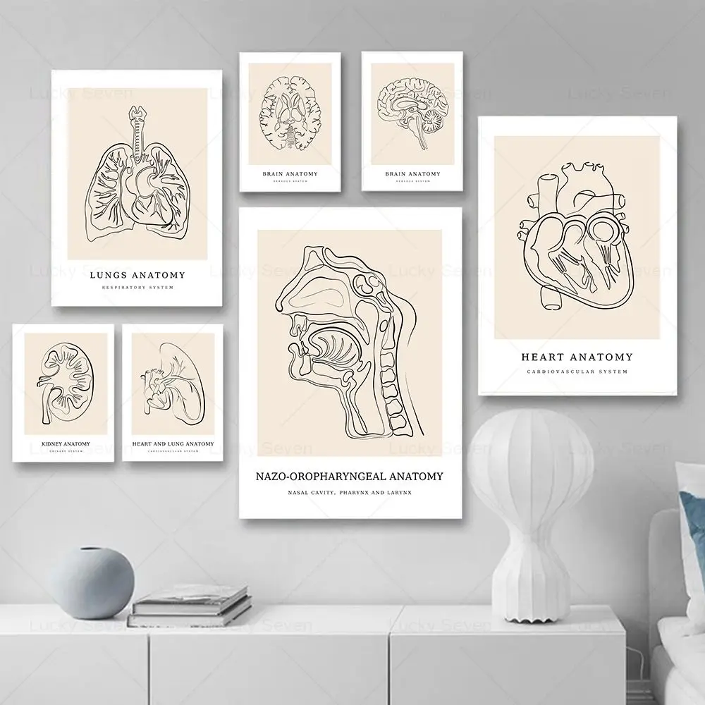 Human Heart Brain Uterus Anatomy Posters Line Art Print Clinic Wall Art Canvas Painting Medicine Pictures Gift Doctor Room Decor