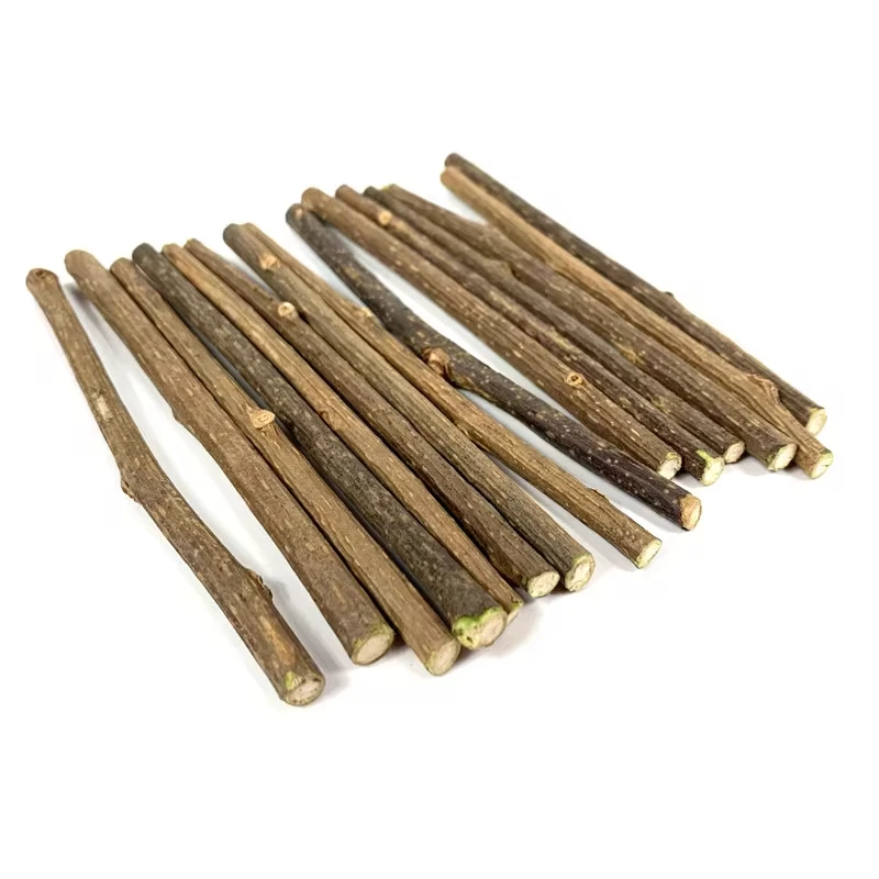 10pcs Cat Catnip Toys Natural Matatabi Sticks for Cats Pet Teeth Cleaning Toy Cat Chew Toy Kitten Silvervine Sticks Pet Supplies