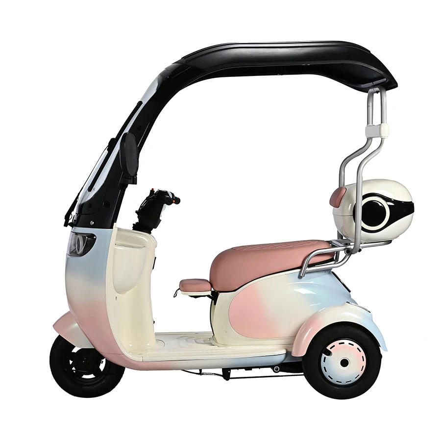 China Three Wheel Rechargeable Electric Adult Three Wheel Cheap Adult Disabled Electric Tricycle