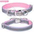 Blue pink collar