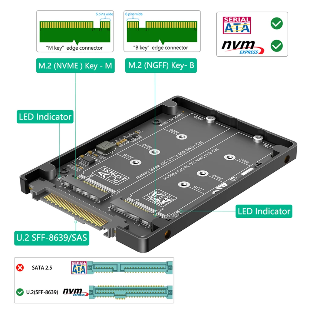 Dual M.2 Key B+M auf U.2 SFF-8639 Adapter mit Kunststoffgehäuse für M.2 NVMe Key M & SATA SSD M2 auf U.2 SFF8639/SAS Konverterkarte – Detail 3