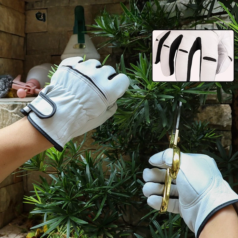 

Leather Work Gloves Stretchable Wrist Tough Sheepskin Working Glove Resistant Knit Wrist Canvas Backing Safety Supplies