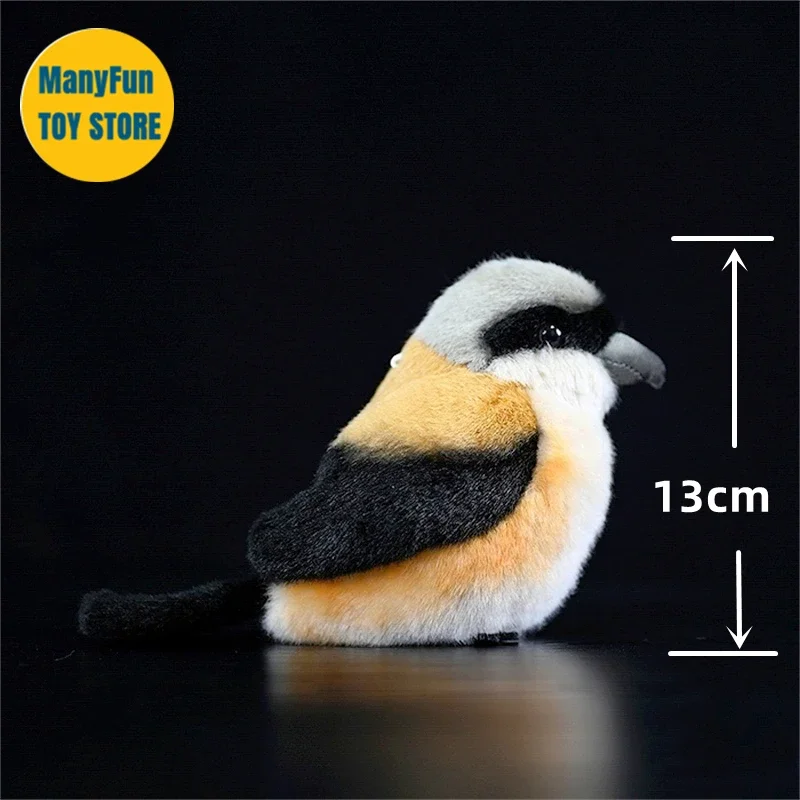 Shrike ألعاب من نسيج مخملي جزار الطيور بلوشي لانيوس شاتش Peluche موزو نابض بالحياة الطيور الحيوانات المحشوة محاكاة دمية لعبة أطفال
