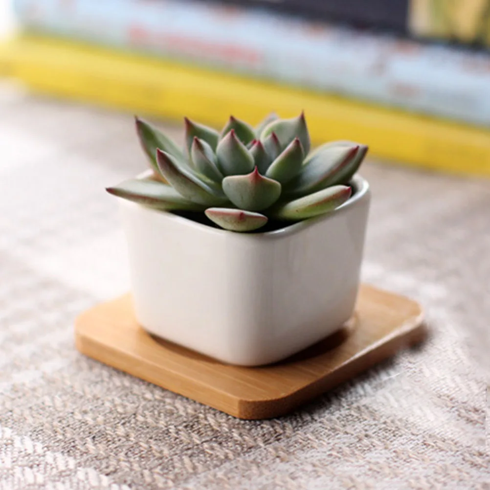 

3Pcs White Ceramic Plant Pot Smooth Texture Mini Square Shape Succulent Pot for Wedding Baby Shower Home Decoration