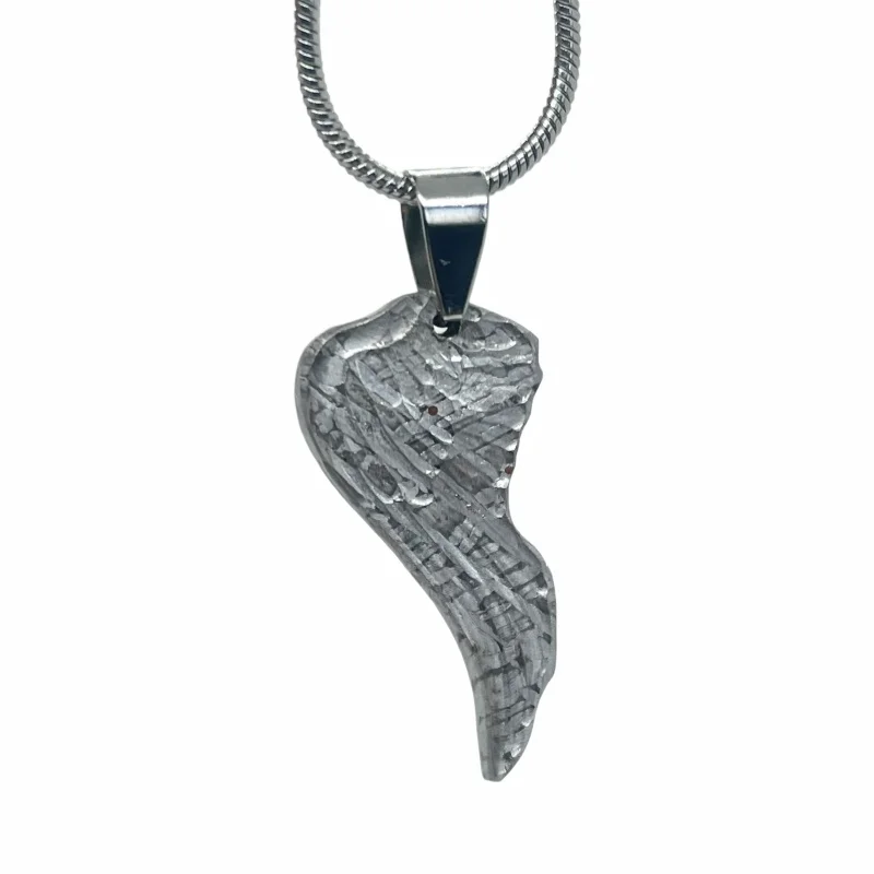 5.7g Muonionalusta Meteorite Pendant Natural Iron Meteorite Pendant Supports Customized Collectibles - LK333