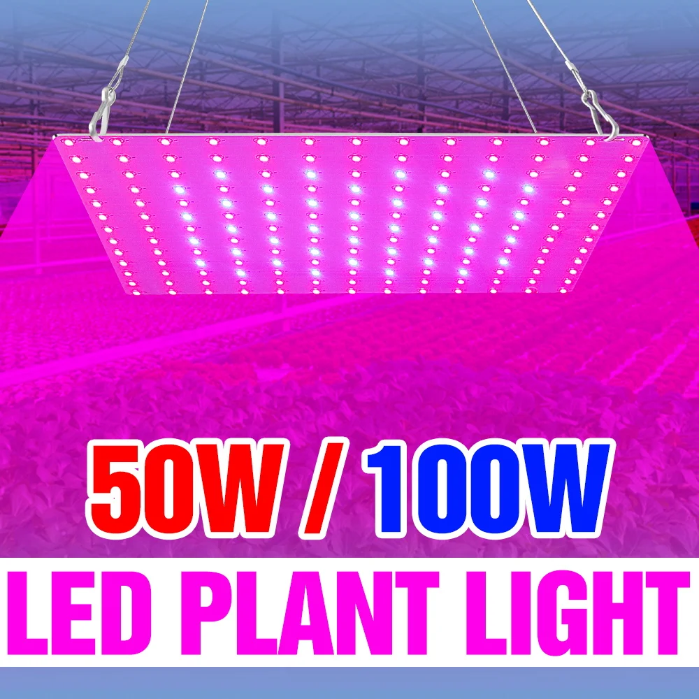 100W LED Full Spectrum Grow Lights UV/IR Quantum Board 50W Plant Panel Lamp Indoor Greenhouse Tent Flowers Vegetable Cultivation