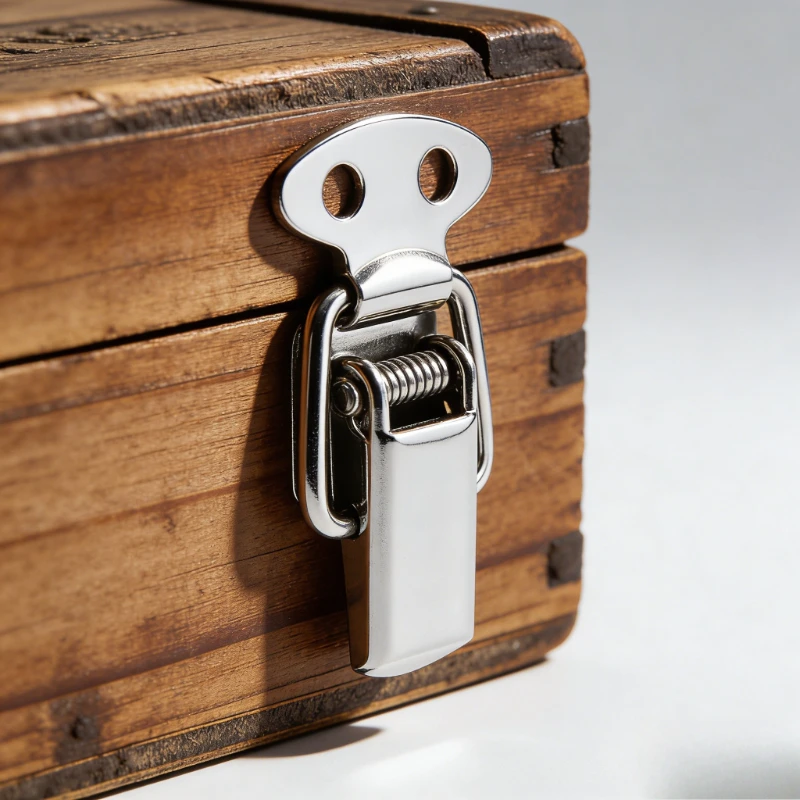 20pcs Mini Spring Loaded Toggle Latches Metal Box Latch Catch Hardware Fastener Drawer Toolbox Cabinet Door Case Lock Closure