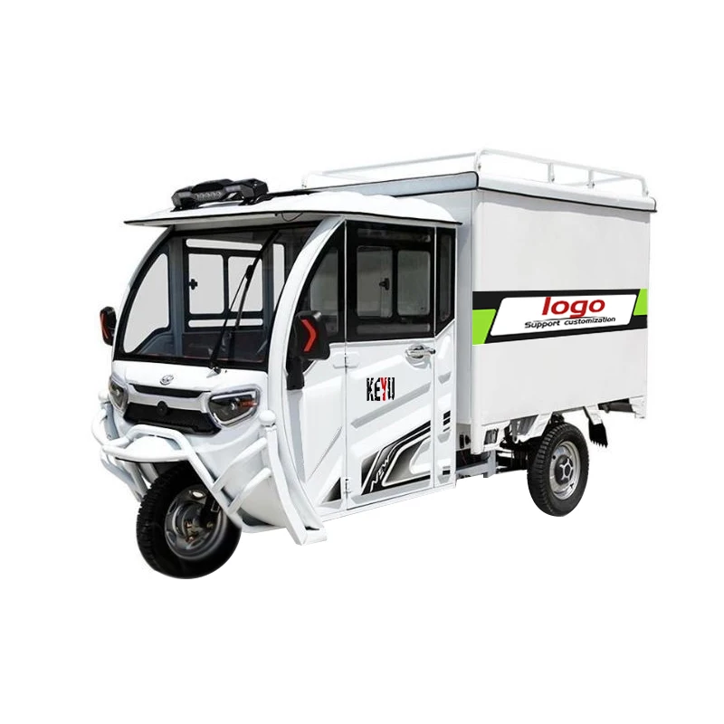 800W Low Speed Closed Box Electric Tricycle Short-Distance Delivery Vehicle for Courier Services