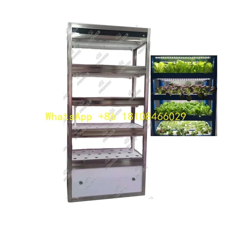 

Machinery Vertical Hydroponic System With LightHome Use Hydroponic Vegetable