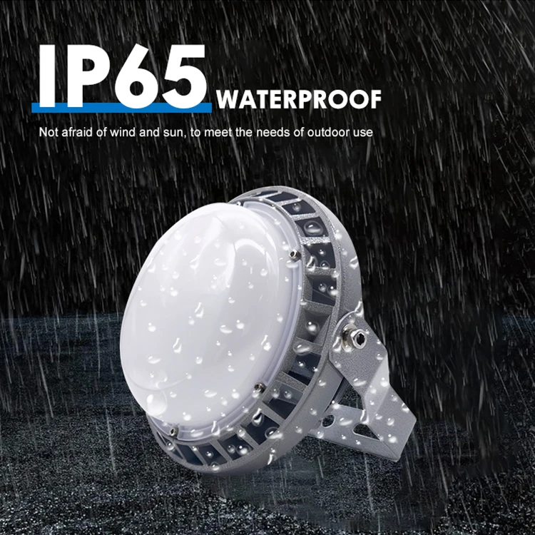 New Arrival Explosion Proof Lamp Ip65 Gas Station Lighting 50w 100w 150w Led Explosion Proof Light