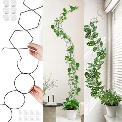 植物を登るためのチェーントレリス、屋内と屋外の家の植物の付属品、モンステラガーデンウォール、植物のつるサポート