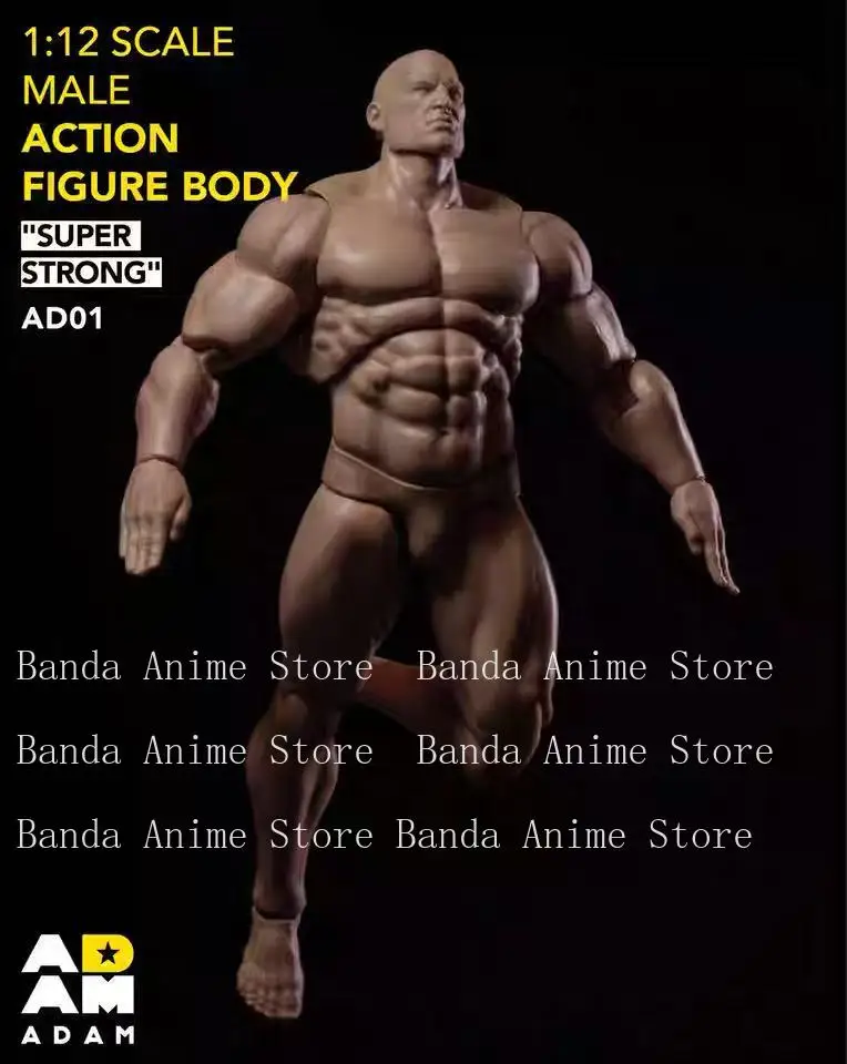 【Pré-vente】 Jouets pour hommes Adam 1/12 corps articulé musculaire fort Ad01 6 ''Super Flexible bande dessinée soldat figurine corps poupée cadeaux