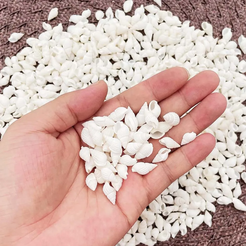 About 100pcs Natural White Beach Sea Shell BeadsTrumpet Spiral Seashells for DIY Craft Jewelry Making Wedding Party Home Decor