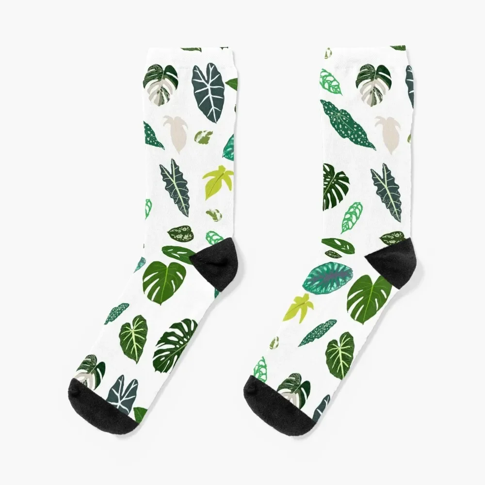 

Plant Matter Socks set kawaii Run Woman Socks Men's